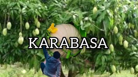 KARABASA (Ilocano Inspirational Christian Song ,with .